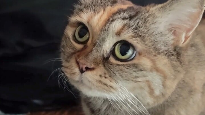 Why are you touching my butt again?