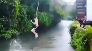 最后一个我是属实没想到啊