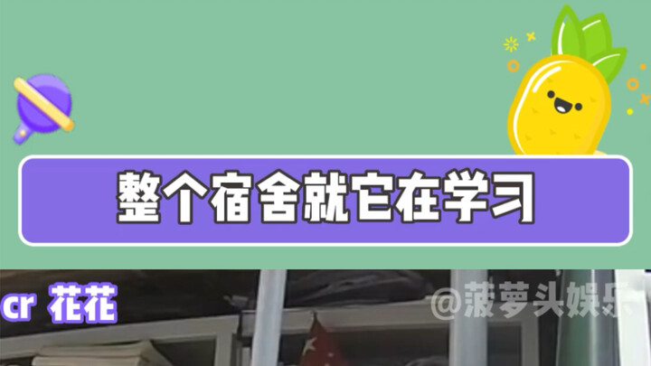 Seriously, don’t be so cute!