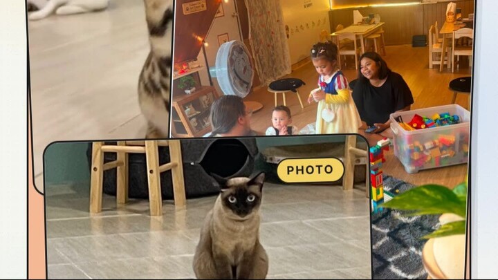 Customer & Cat Favorite Moments | โมเมนต์โปรดของลูกค้าและน้องแมว