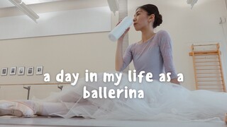 Ballerina Daily VLOG🩰 | A Fulfilling Workday for a Ballerina✨ Ballet Outfits🎀 Colleagues' Dogs🐶 Comp