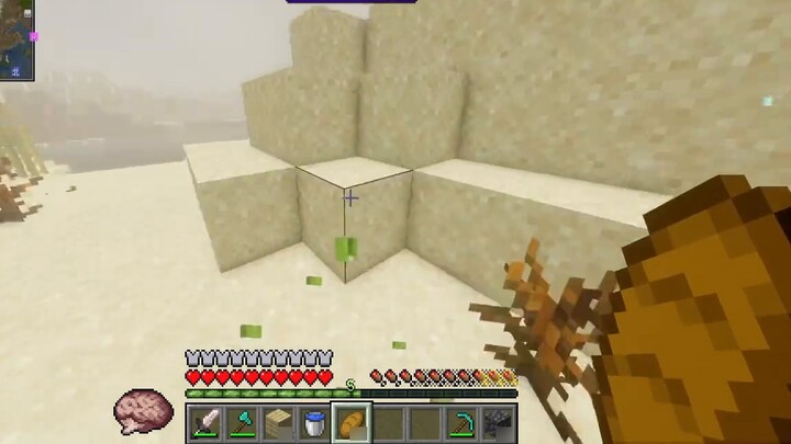 Sukses besar! Mereka menyukaiku!