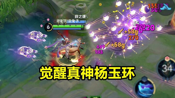 新版觉醒杨玉环伤害爆炸！1A直接秒人