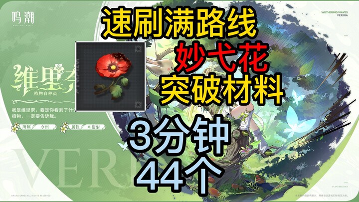 [Stellar Blade] Quick Full-Route Farming for Miaoyi Flowers / Verina + Chixia + Danjin Breakthrough 