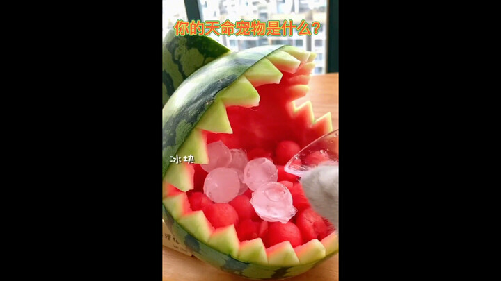 What’s Your Destiny Pet?