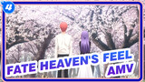 Fate Heaven's Feel AMV_4