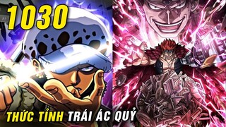 [ Spoiler One Piece 1030 ] - Kid, Law đột phá thức tỉnh - Sức mạnh tối thượng của trái ác quỷ