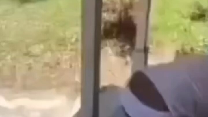 อดีตทหารสหรัฐฯ ทำกับดักหน้าบ้าน ขโมยผิวดำที่มาฉกของฟรีถูกระเบิด