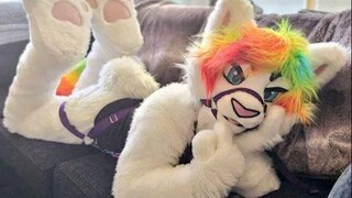 Kumpulan video lucu dari luar negeri & Pesta Kelucuan Tingkah Laku Hewan #143