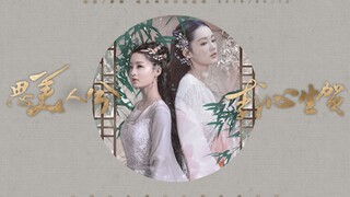 【李沁2019生贺|古装角色群像】思美人兮