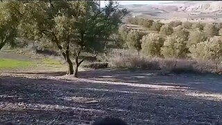 🤣
