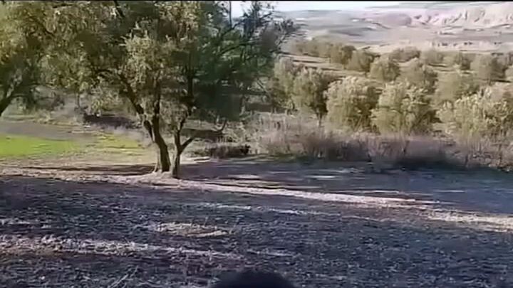 🤣