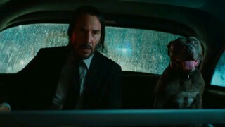 John Wick: Chapter 3, 2019// Action/Crime/Thriller//