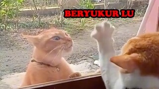 Bersyukur Lu !