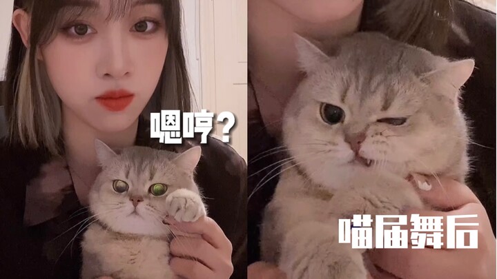 Mèo con tính khí đúng là xấu lắm, cứ lải nhải không ngừng, có ai ra tay can thiệp không?