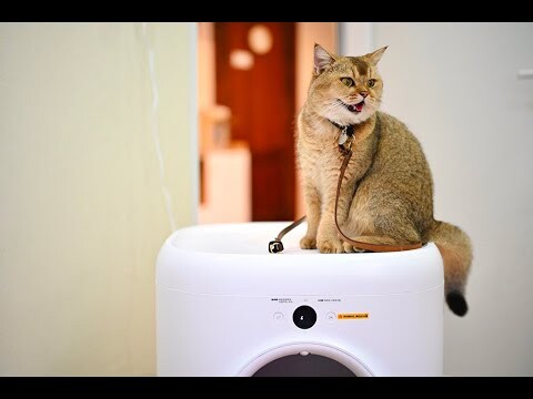 Đập hộp Petkit Pura X - Máy dọn vệ sinh tự động cho mèo trên cả tuyệt vời ( Petkit Pura X unboxing)