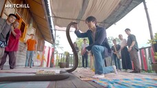 cô dâu thần rắn tập 2