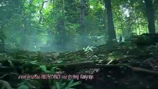 พชรมนตรา 8