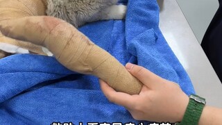 Ini dia senjata ajaib lainnya