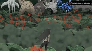 Raffaello Iadanza nũng niệu - Review - Đại Chiến Ninja Lần 5  #anime #schooltime