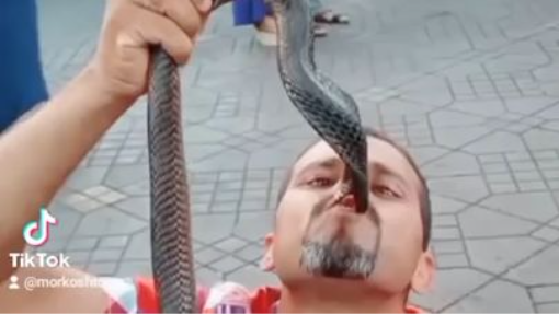 Marrakech Djemaa Lefna Snake Charmers 🤣♥