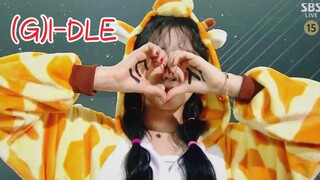 全员睡衣！好可爱！(G)I-DLE 5.3人气歌谣打歌！末放舞台～