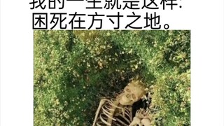 [皮卡堂合集]若你有片刻闲暇，分一些思念给我。