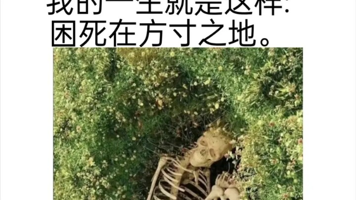 [皮卡堂合集]若你有片刻闲暇，分一些思念给我。