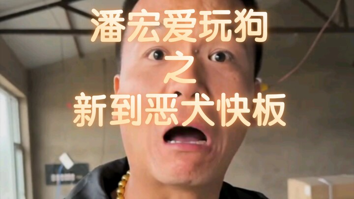 [Pan Hong] “It’s now the fiercest dog at the kennel.”