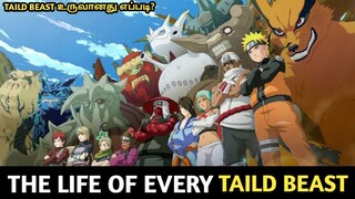 All Taild Beast Origin Powers and abilities Explain in Tamil | THE LIFE OF EVERY TAILD BEAST |NARUTO