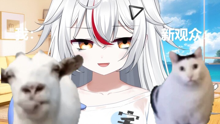 Ketika saya memberi tahu pemirsa baru, itu laki-laki