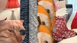 Saat aku pergi berbelanja dengan adikku, aku disangka wanita simpanan (koleksi)