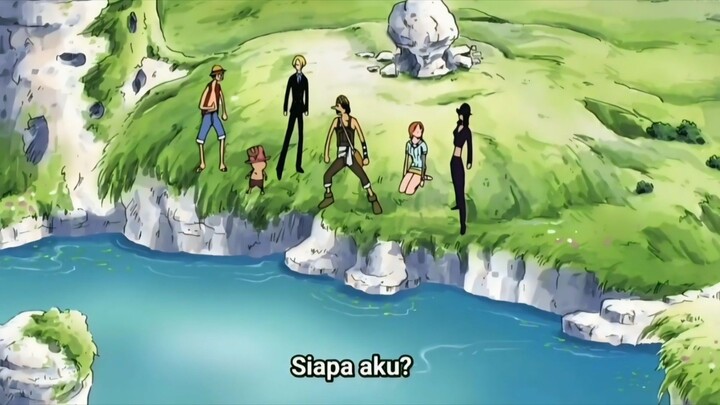 Ketika Kru Mugiwara Lupa Ingatan 🤣