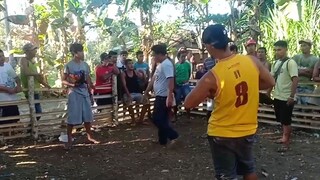 tsamba lang malakas