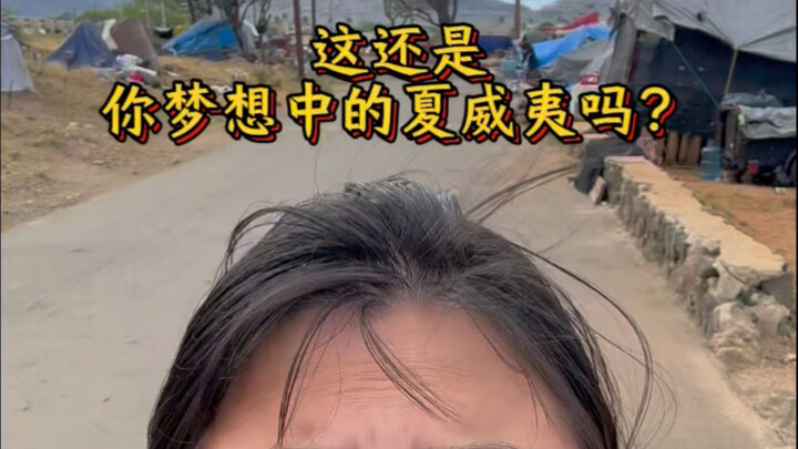 Is This Still the Hawaii of Your Dreams? Exploring the Hidden, Untold Side of Hawaii.