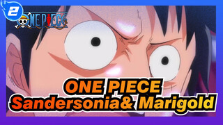 ONE PIECE|Luffy VS. Boa Sandersonia&Boa Marigold_2