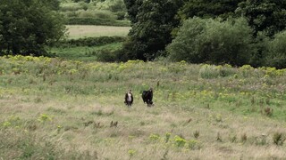 Among the Living (2022)