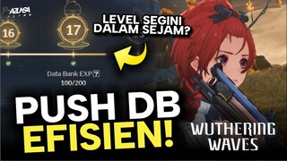 Cara ini bikin DATA BANK ECHO Kalian Gampang Naik! | Wuthering Waves