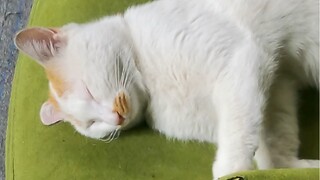 ฮ่าๆ หยุดงานแล้ว...