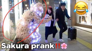 Bushman Japanese Reactions! Cherry blossom (Sakura) Pranks!　Part1 🌸