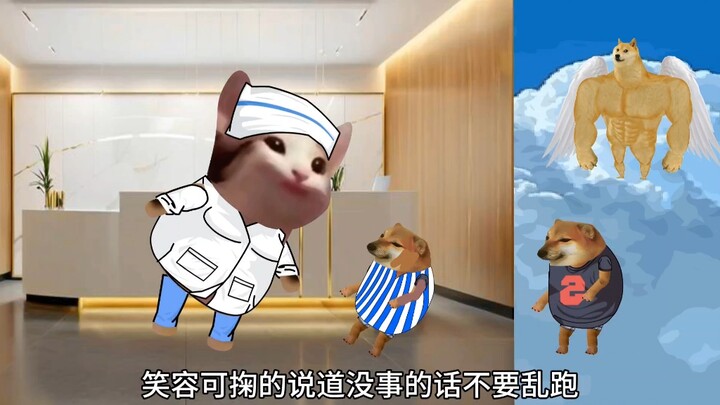 烟老八怪谈之《整形医院》上集