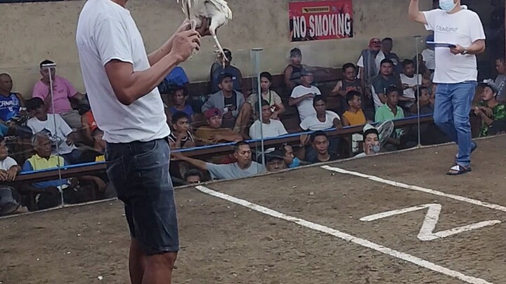 April 16..hack fight...using kelso hatch..loss....na over sa moisture..inde nabantayan...bumagal..