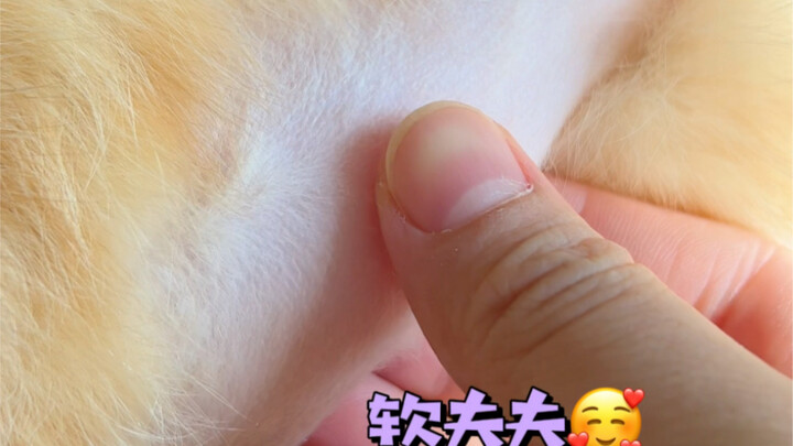 Kakak, jangan lupa jaga dan pelihara otot perutmu yang mulus itu…