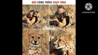 ảnh chế meme hài#20