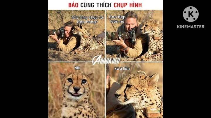 ảnh chế meme hài#20