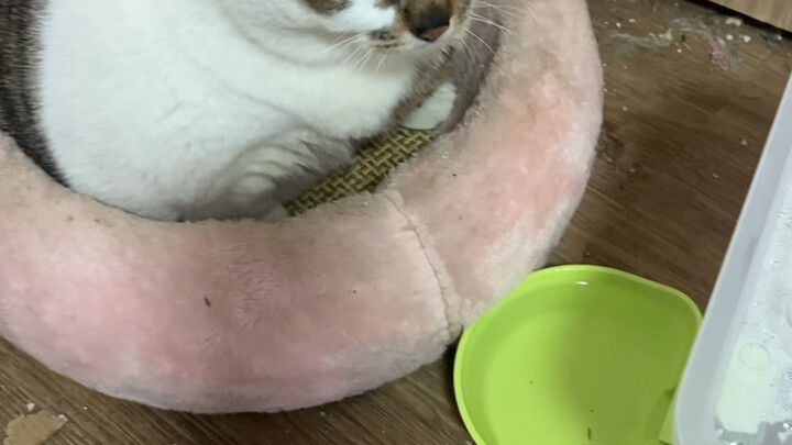 ไม่ดื่มแล้ว