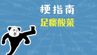 足痰酸菜是什么梗【梗指南】