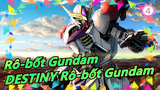 [Rô-bốt Gundam] HG| DESTINY Gundam| Kiểm tra của Youtuber Nhật [Video Gundam của Kasamatsu]_4