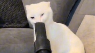 Cat: I want to have lip augmentation