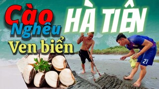 CÀO NGHÊU VEN BIỂN HÀ TIÊN I THON TRẦN